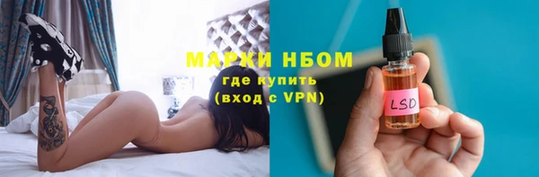 сатива Армянск