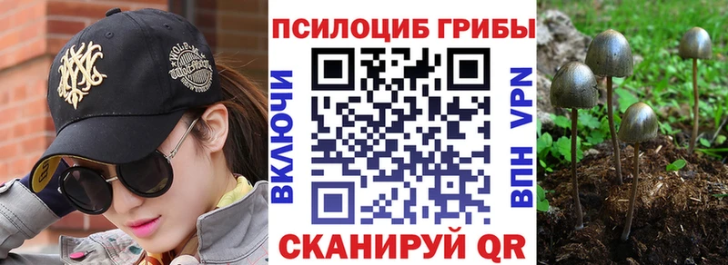 shop формула  Старица  Псилоцибиновые грибы прущие грибы 