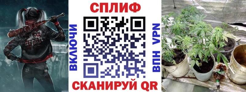 Бошки Шишки SATIVA & INDICA  Старица 